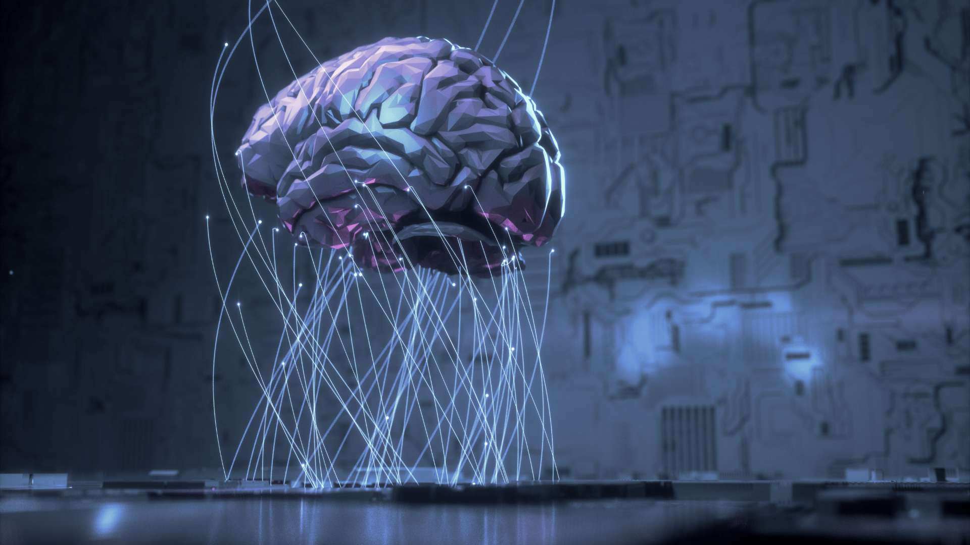 Connaissances symbolisées par un cerveau avec des connexions